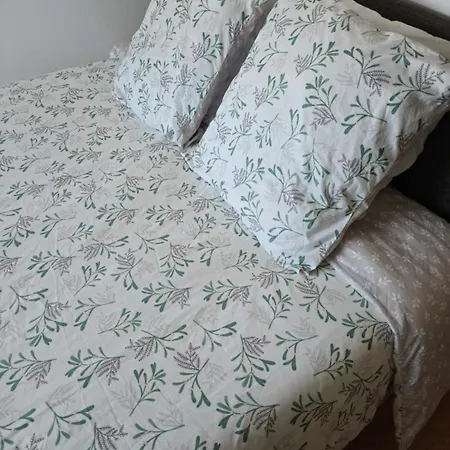 Chic Nest